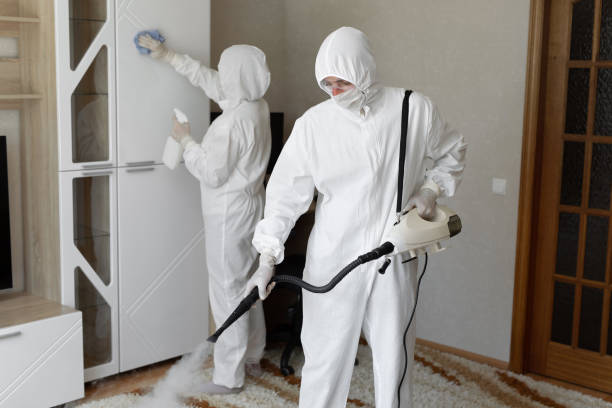 Home Mold Removal in Ruckersville, VA