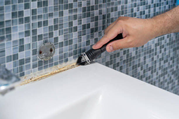 Best Mold Remediation  in Ruckersville, VA