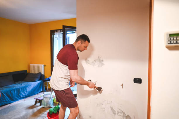 Best Professional Mold Removal  in Ruckersville, VA