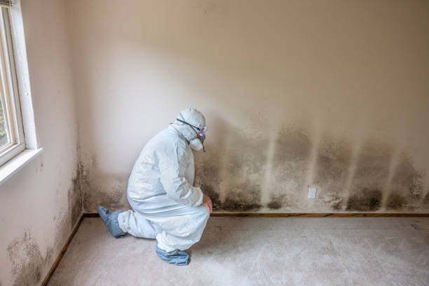 Best Mold Testing  in Ruckersville, VA