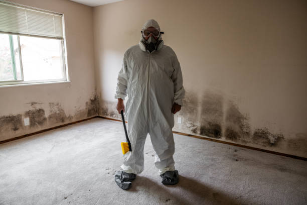 Best Mold Remediation Experts  in Ruckersville, VA