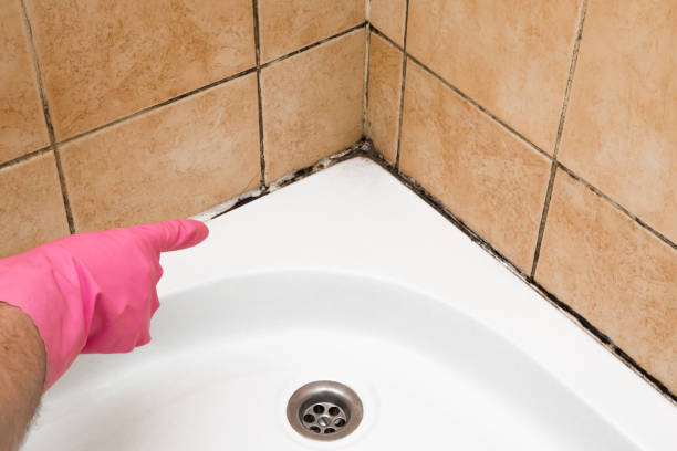 Best Crawl Space Mold Removal  in Ruckersville, VA